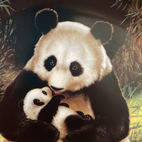 The Panda Will Nelson Vintage Last of Their Kind: The Endangered Species Plate - Picture 3 of 16